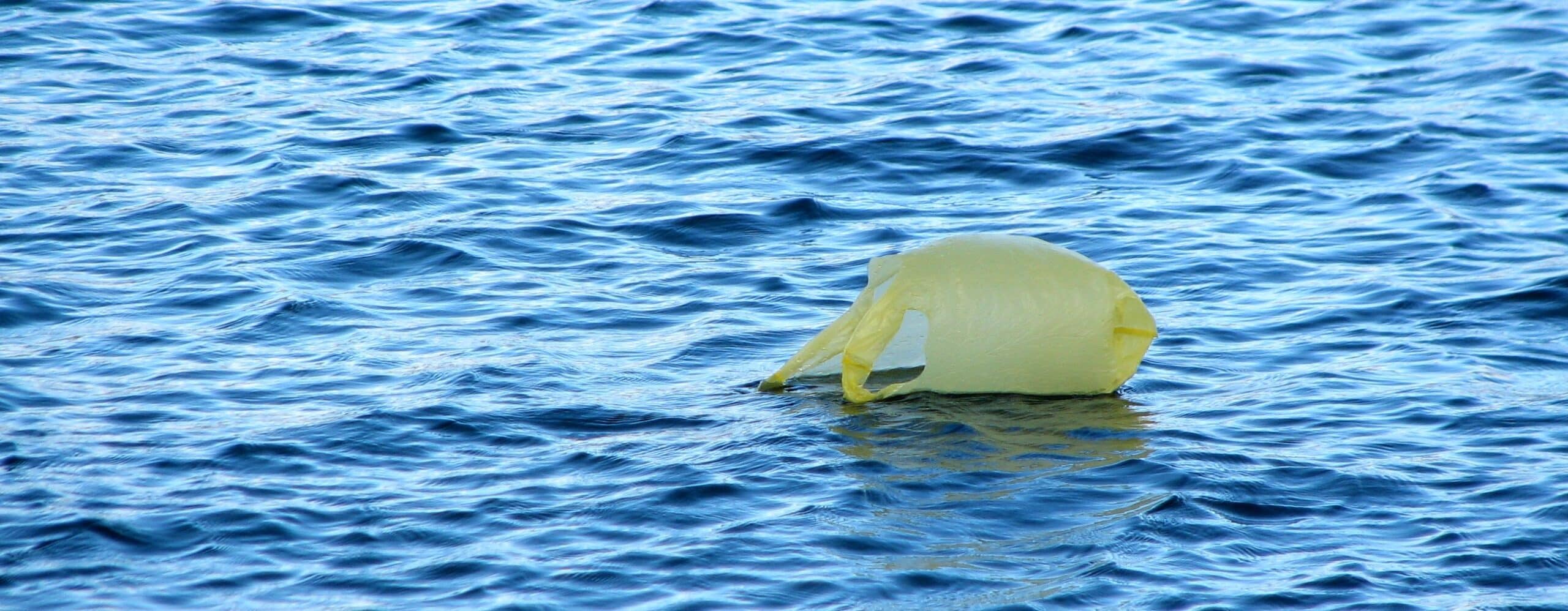 carrier bag floating in the ocean