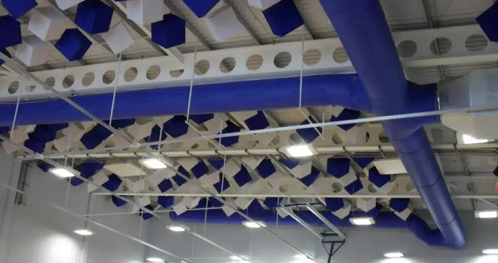 Sports Hall Blue Branched Air Sock
