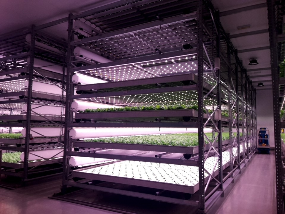 White lightweight Prihoda fabric ducts in a vertical farm